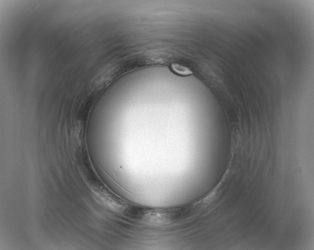 X0000078020174200611101856