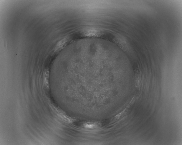 X0000078020175200611101856