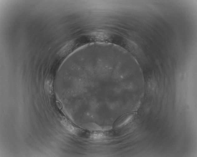 X0000078020177200611101856