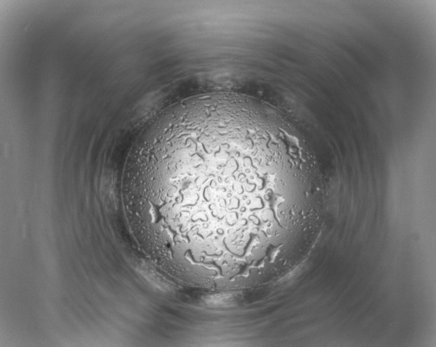 X0000078020178200611101856