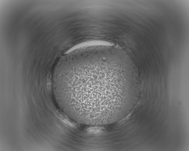 X0000078020179200611101856