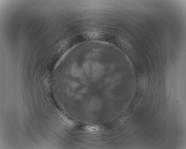 X0000078020181200611101856