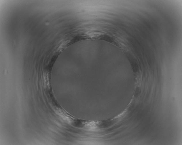 X0000078020182200611101856