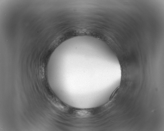 X0000078020183200611101856