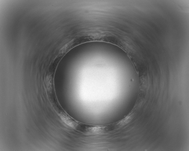 X0000078020184200611101856