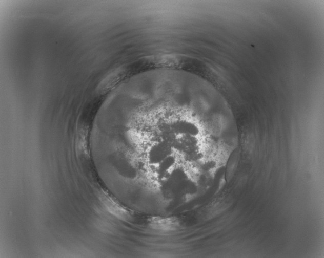 X0000078020185200611101856