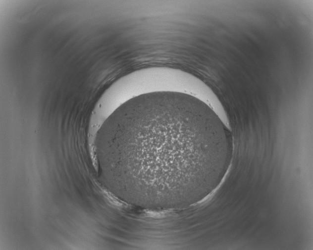 X0000078020190200611101856