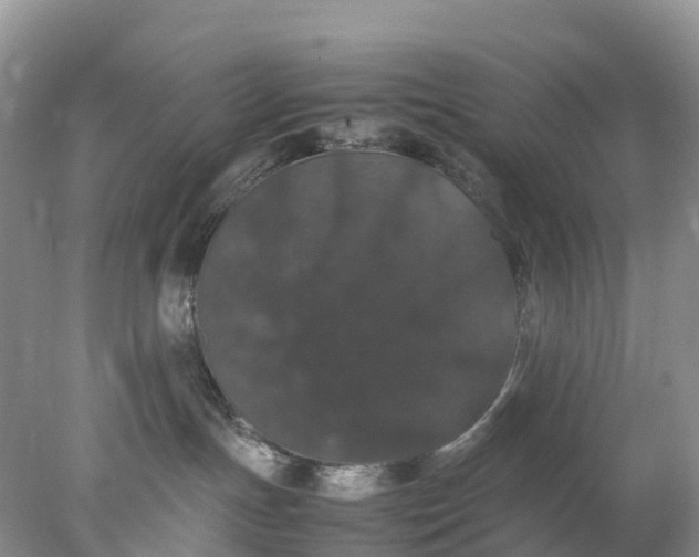 X0000078020191200611101856