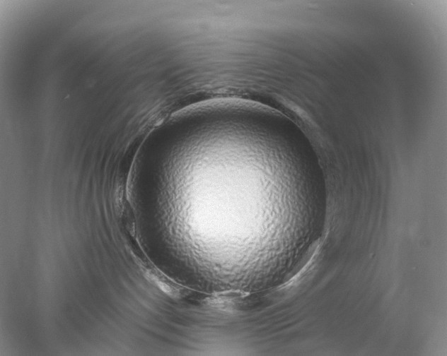 X0000078020192200611101856