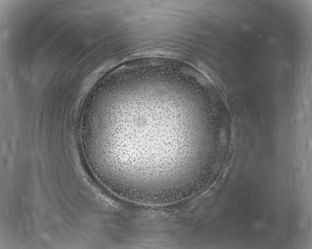 X0000078020193200611101855