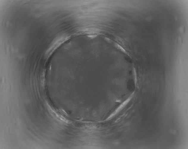 X0000078020194200611101855