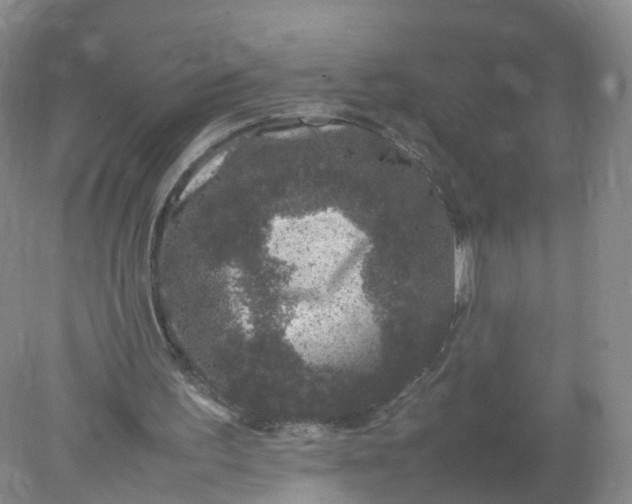 X0000078020195200611101855