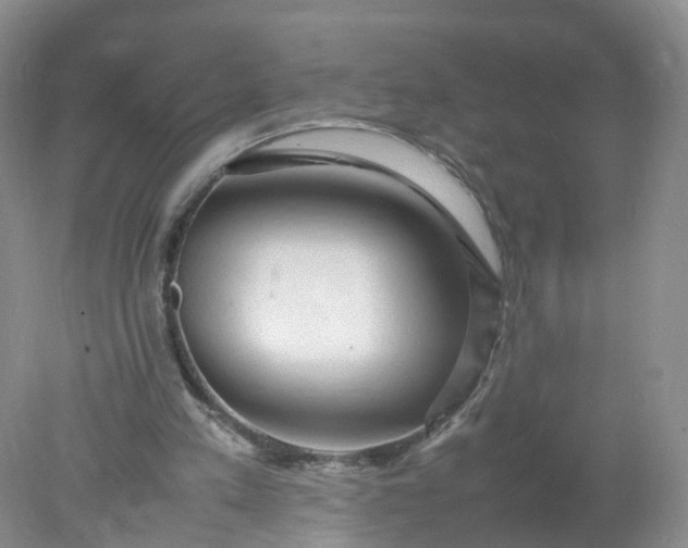 X0000078020197200611101855