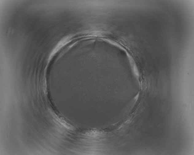 X0000078020198200611101855