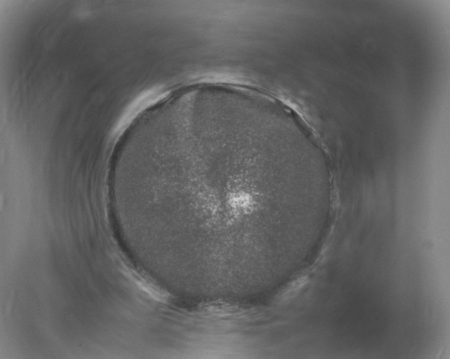 X0000078020199200611101855