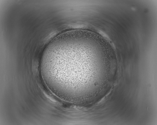 X0000078020201200611101855