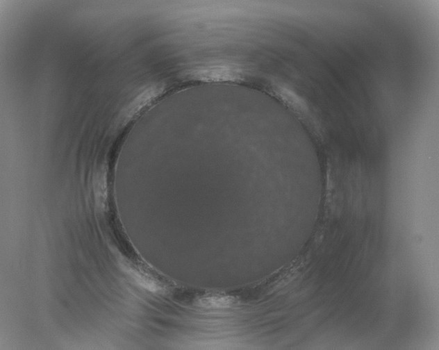 X0000078020202200611101855