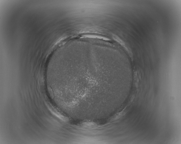 X0000078020203200611101855