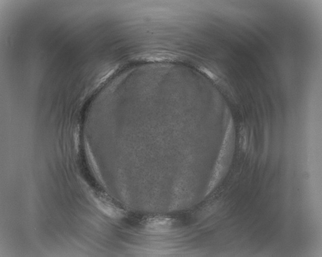 X0000078020206200611101855