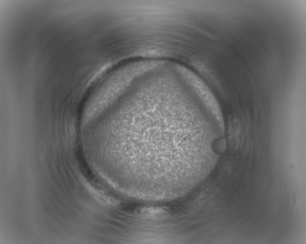 X0000078020208200611101855