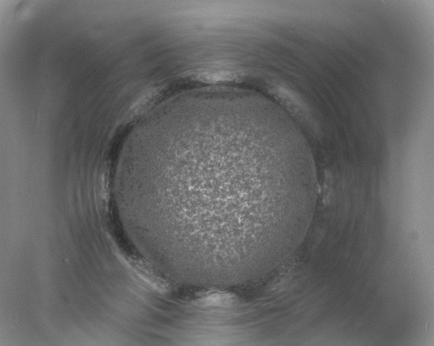 X0000078020210200611101855