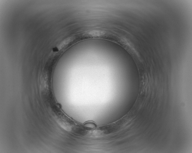 X0000078020212200611101855