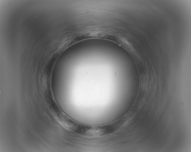 X0000078020213200611101855