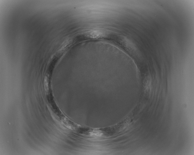 X0000078020214200611101855