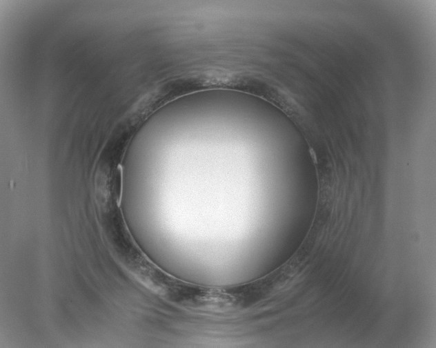 X0000078020215200611101855