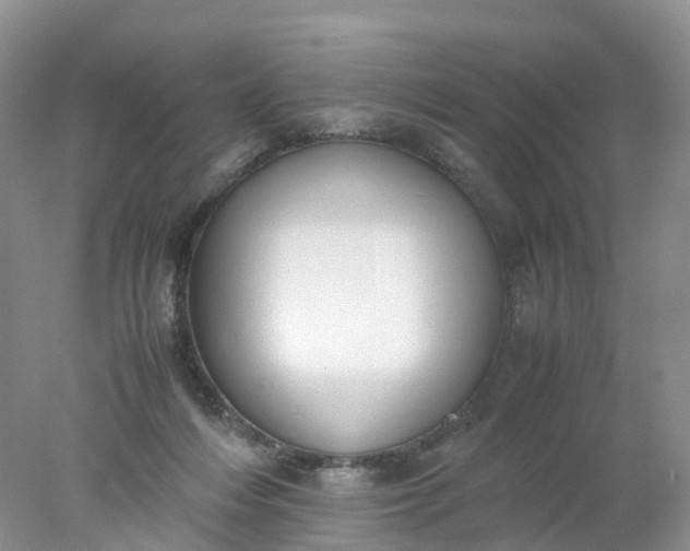 X0000078020216200611101855