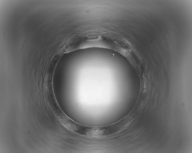 X0000078020217200611101855