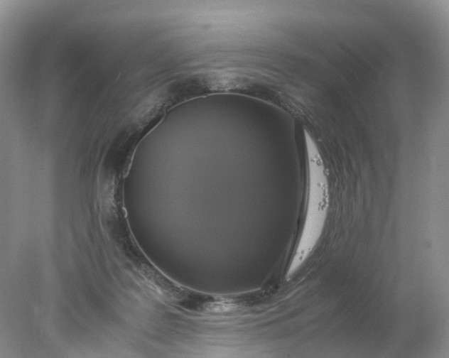 X0000078020219200611101855