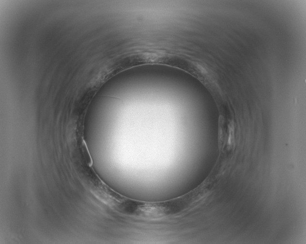 X0000078020221200611101855