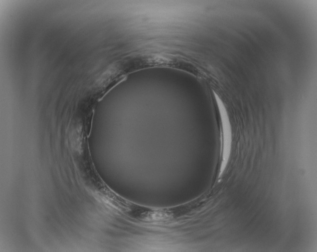 X0000078020223200611101855