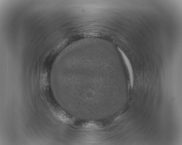 X0000078020224200611101855