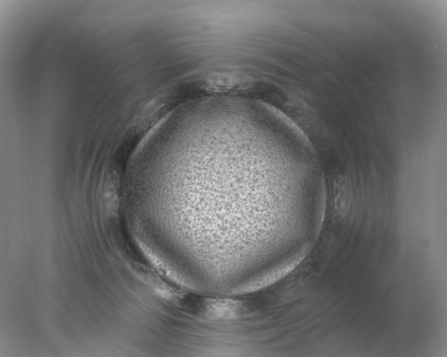 X0000078020226200611101855