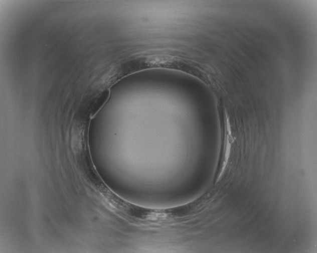 X0000078020227200611101855