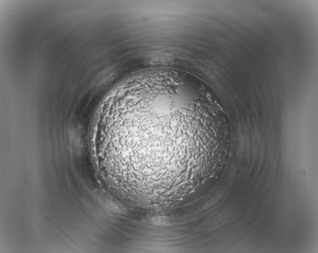 X0000078020228200611101855