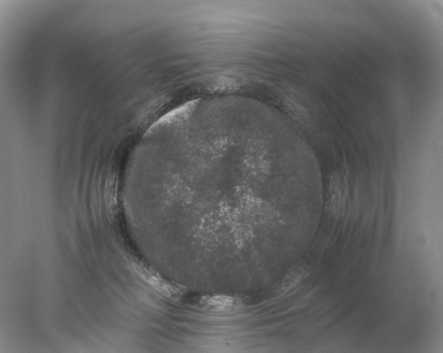 X0000078020230200611101855