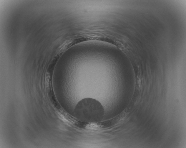 X0000078020231200611101855