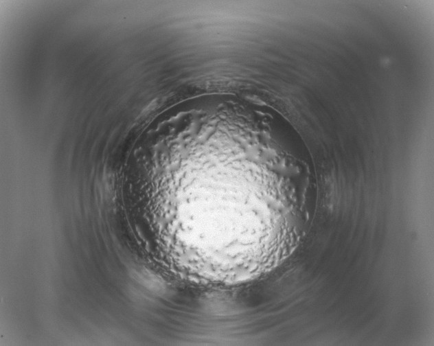 X0000078020232200611101855