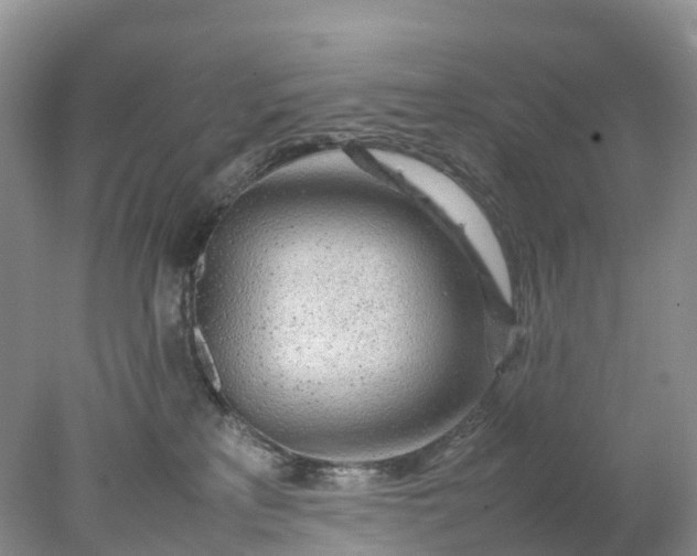 X0000078020233200611101855