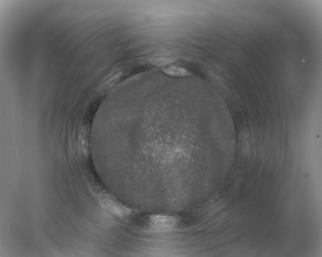 X0000078020234200611101855