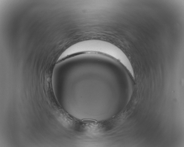 X0000078020235200611101855