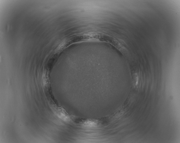 X0000078020236200611101855