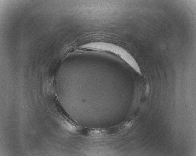 X0000078020239200611101855