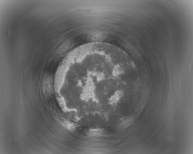 X0000078020240200611101855