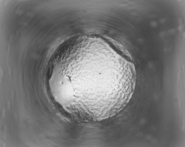 X0000078020241200611101854