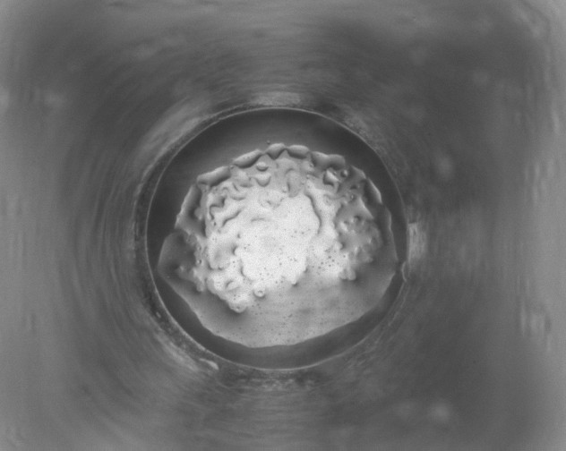 X0000078020243200611101854