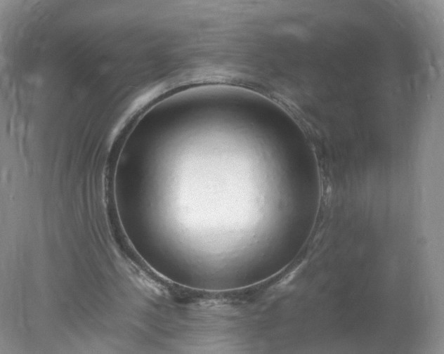 X0000078020244200611101854